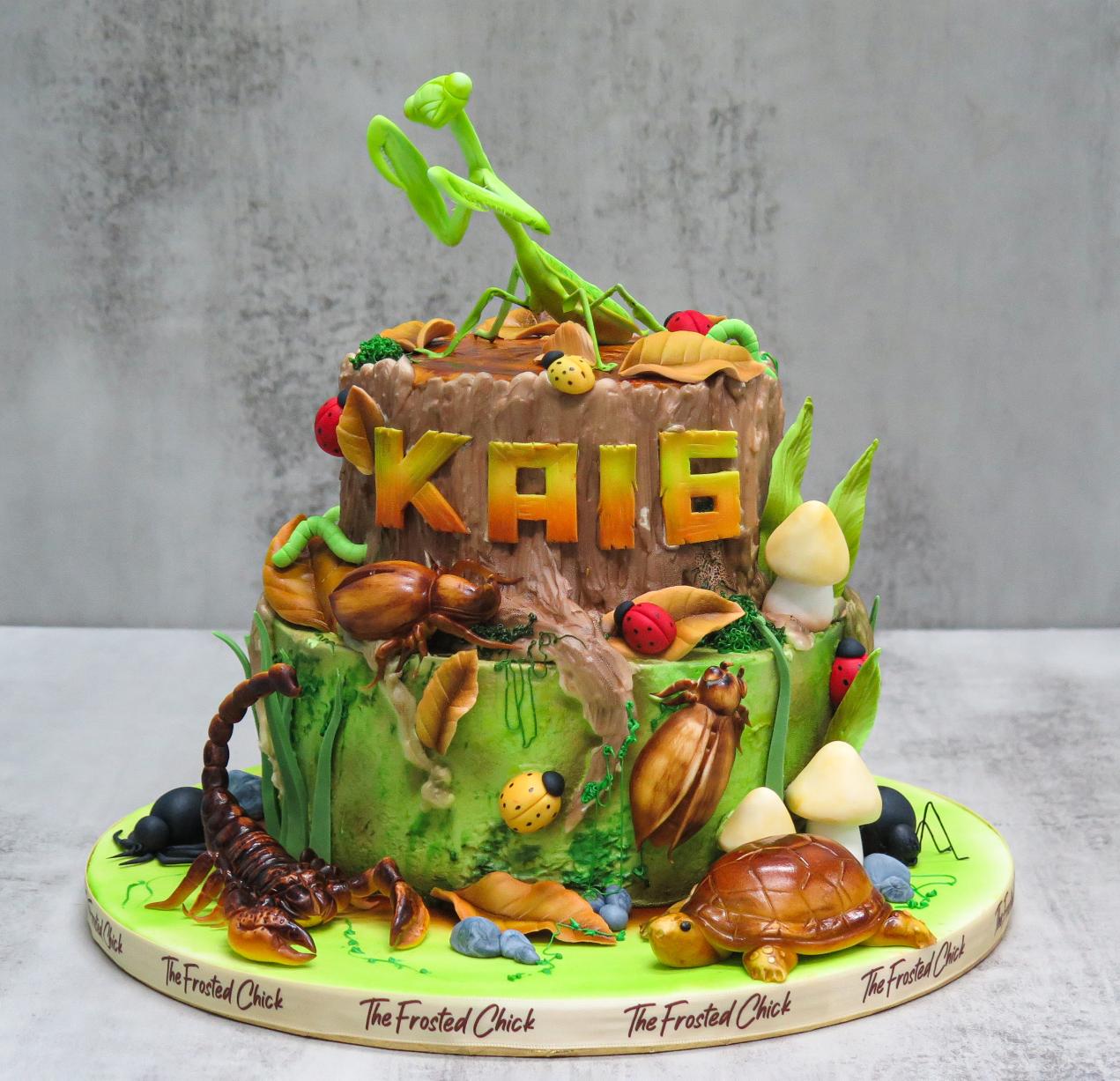 insects bugs 4 short by 6 short